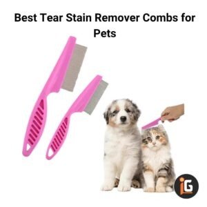 Read more about the article Best Tear Stain Remover Combs for Pets