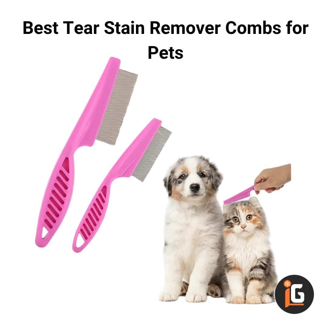 You are currently viewing Best Tear Stain Remover Combs for Pets
