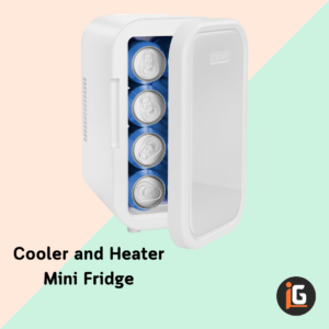 Read more about the article Cooler and Heater Mini Fridge