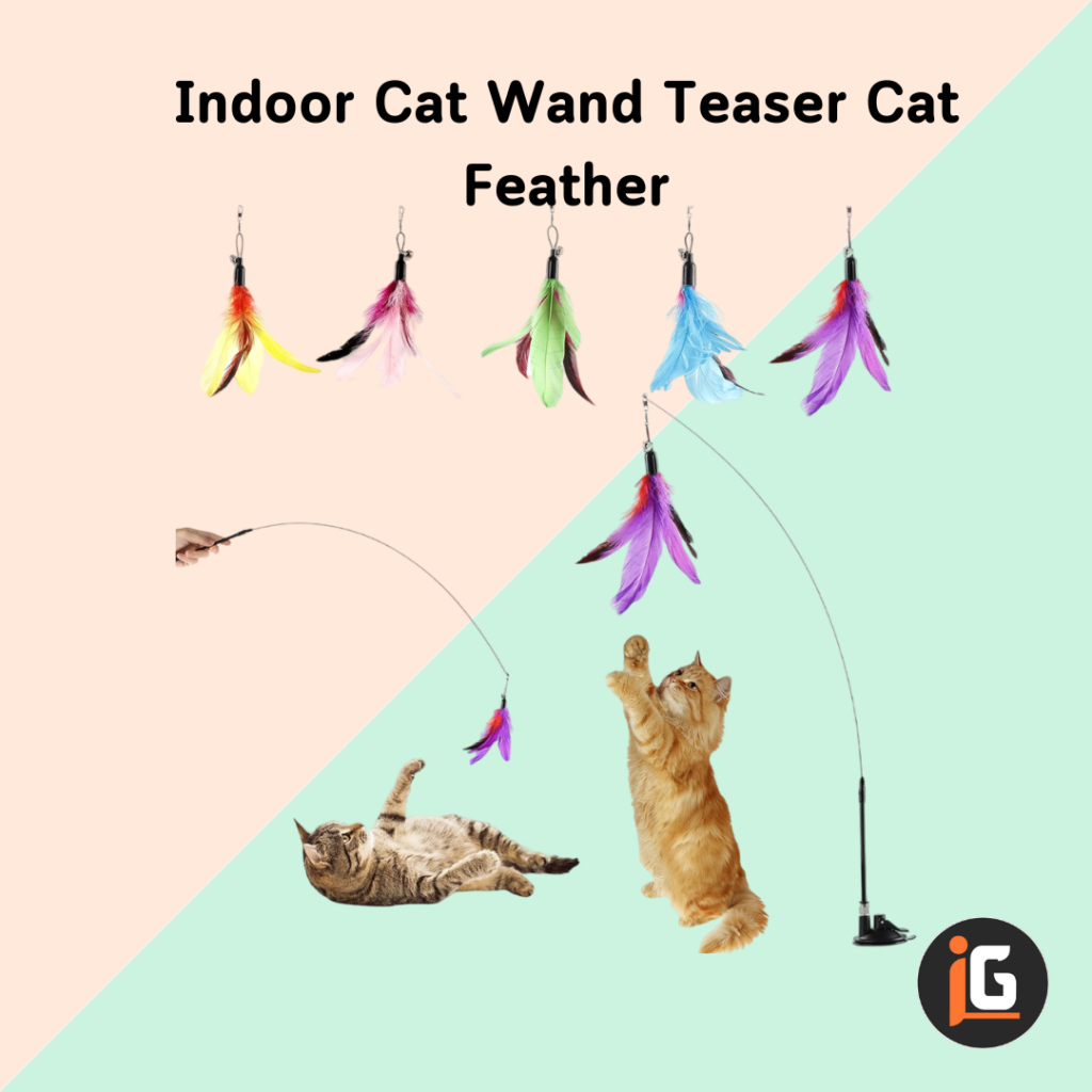 Read more about the article Indoor Cat Wand Teaser Cat Feather