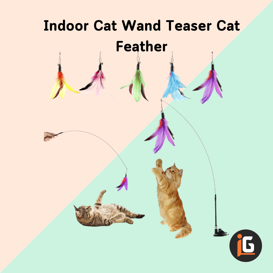 You are currently viewing Indoor Cat Wand Teaser Cat Feather