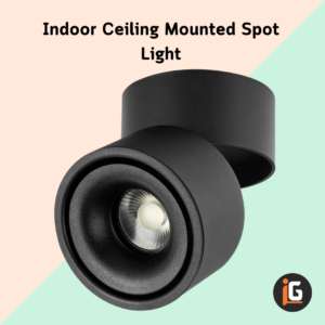 Read more about the article Indoor Ceiling Mounted Spot Light