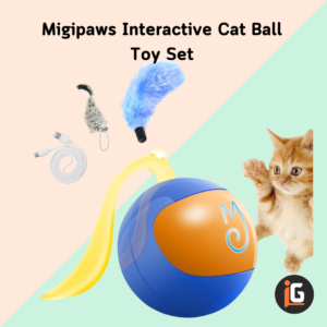 Read more about the article Migipaws Interactive Cat Ball Toy Set