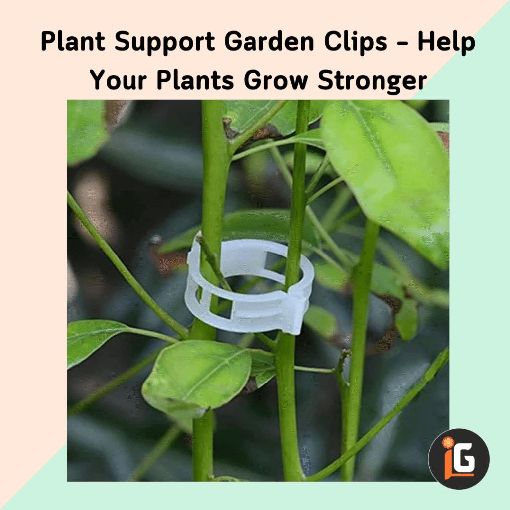 Plant Support Garden Clips – Help Your Plants Grow Stronger
