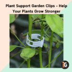 Plant Support Garden Clips – Help Your Plants Grow Stronger
